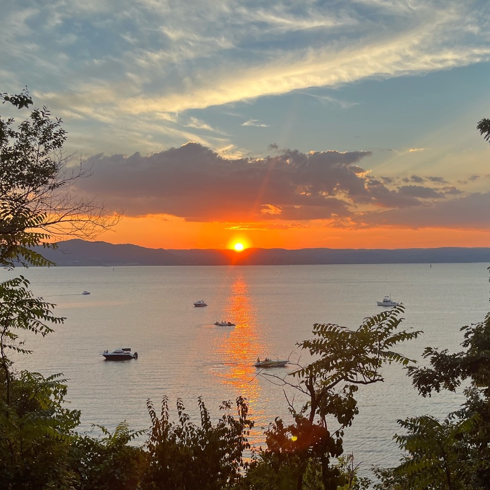 Meet your Posher, Naomi